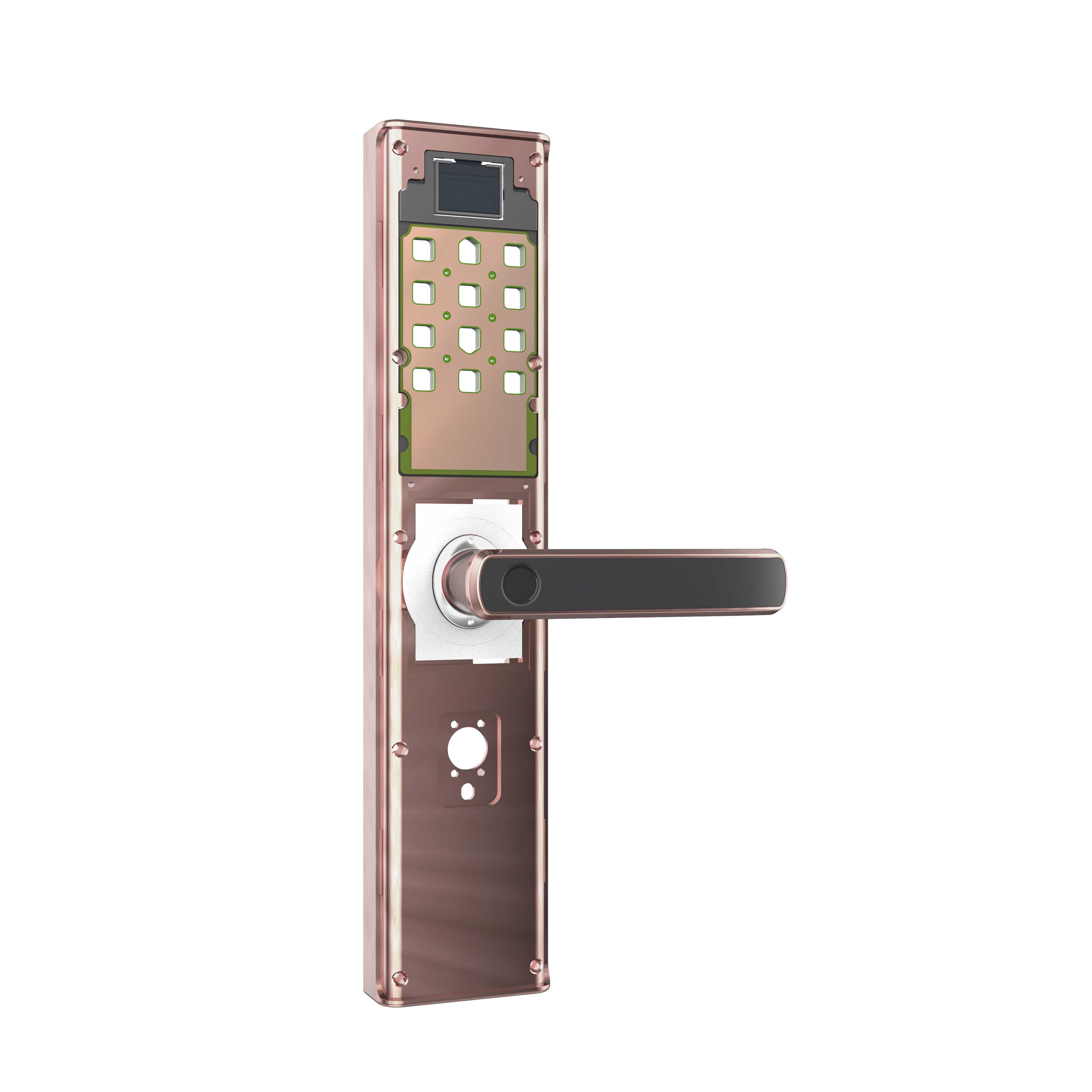 Biometric Door Entry System